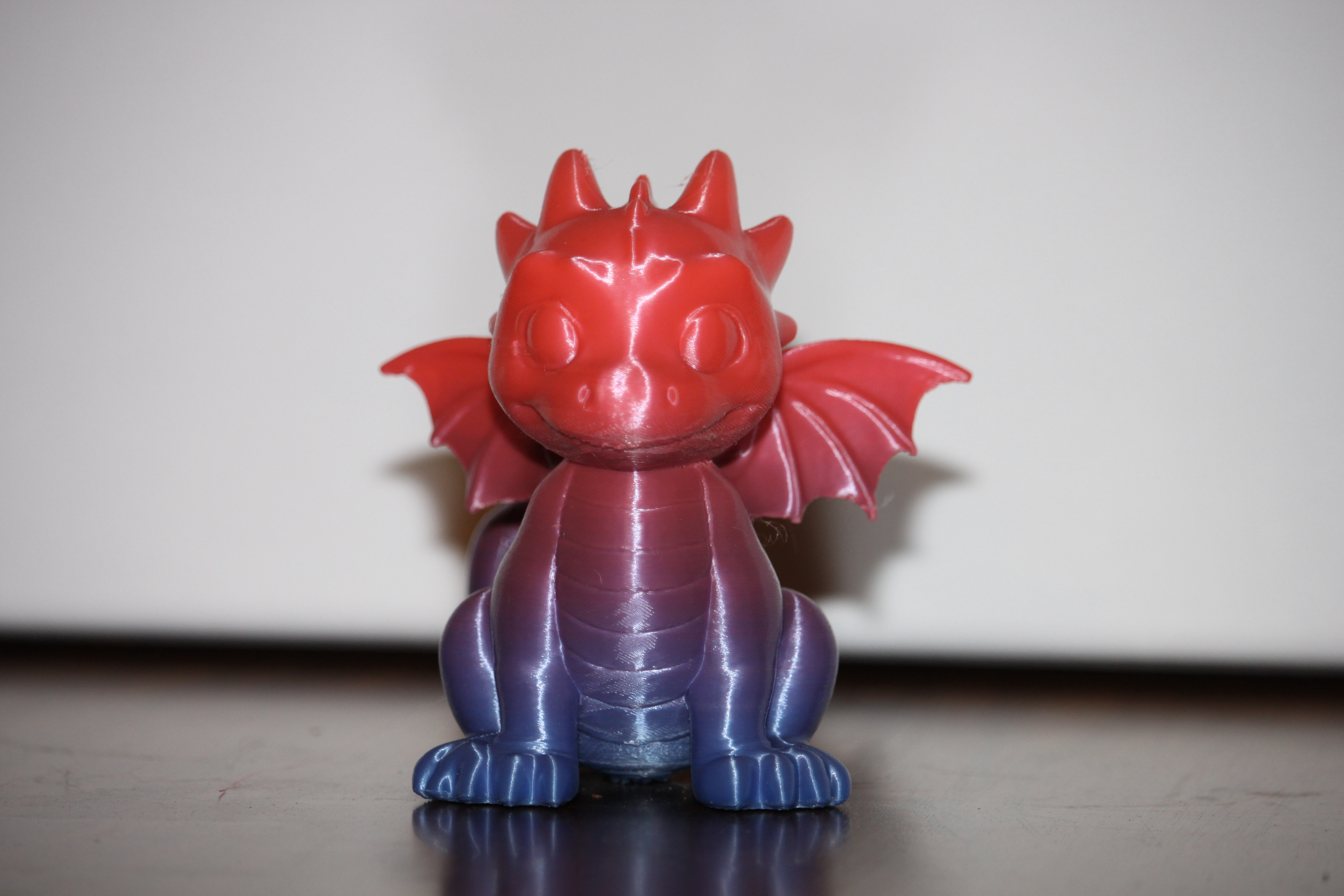 Baby Dragon printed photo