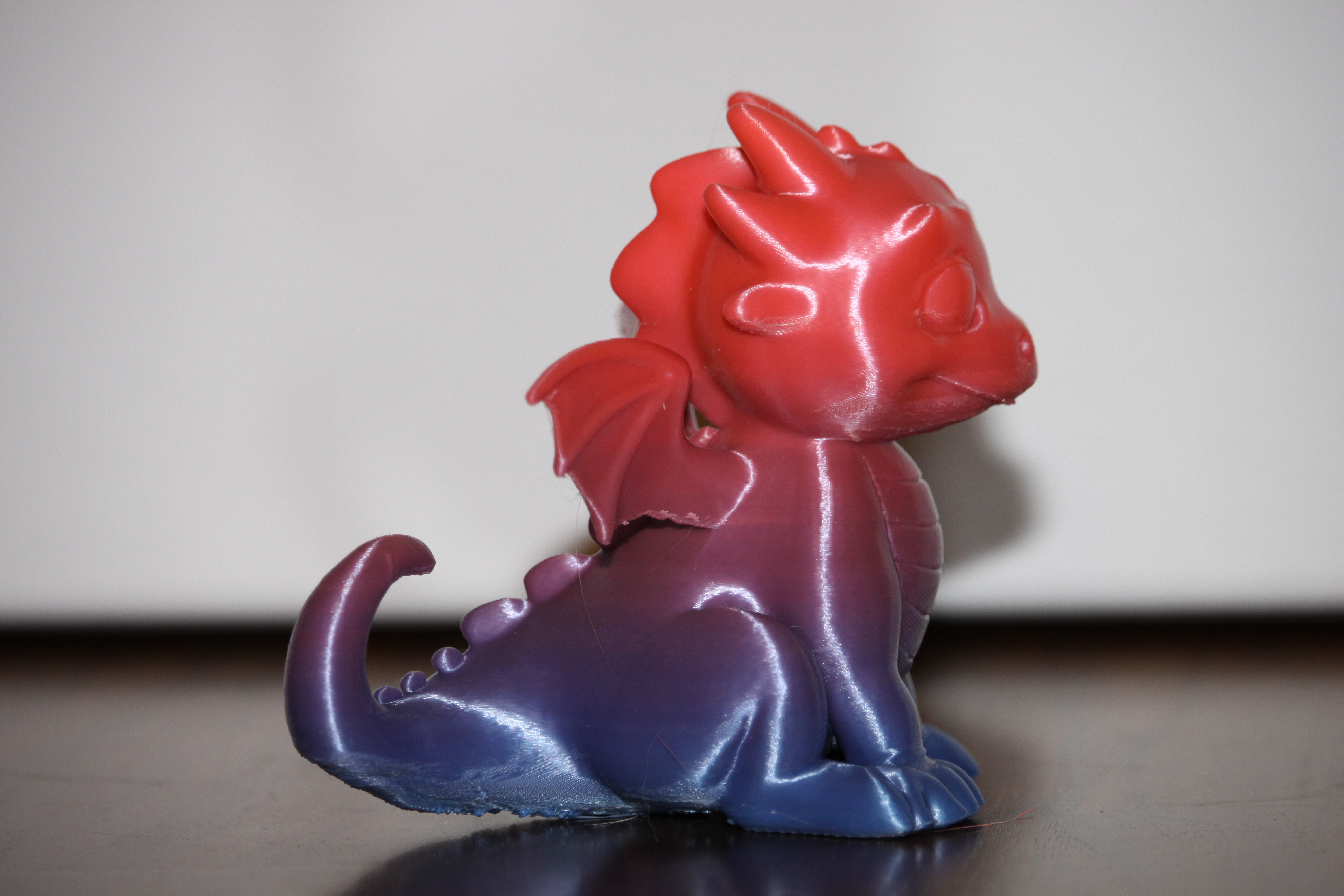 Baby Dragon printed photo